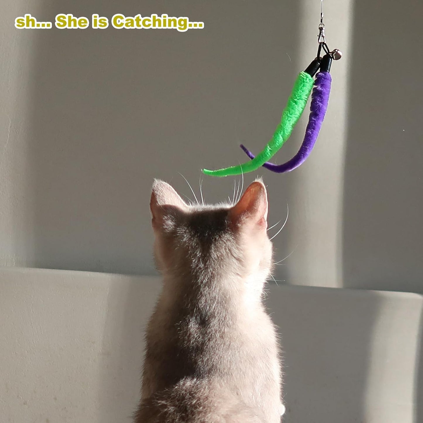 27-Piece Interactive Cat Toy Set with Telescopic Feather Teaser Wand